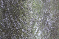 Brook fibreglass roof work